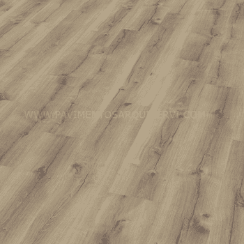 Roble Obelisque Roble Obelisque