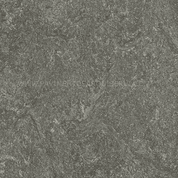 Vinílicos Linóleo Suelo Linóleo Gris Verdoso Marmoleado