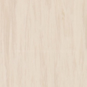 Vinílicos Homogéneo Suelo Vinílico Standard Sand Light