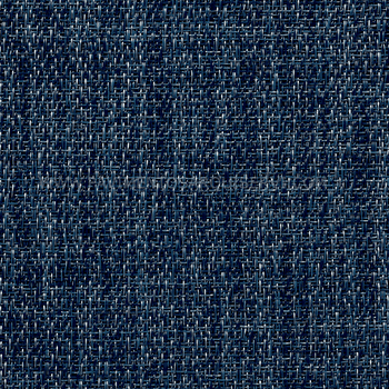 Blue Berry Blue Berry