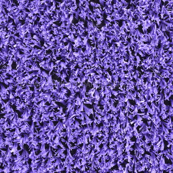 Césped Capricho Morado Césped Capricho Morado