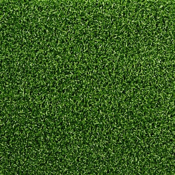 Césped artificial Césped para Multideporte Pro Verde