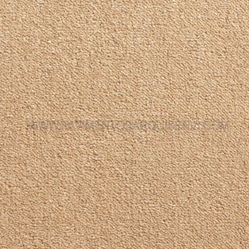 Moquetas Polipropileno Bond 172