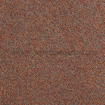 Cover 8_38 Cover 8_38