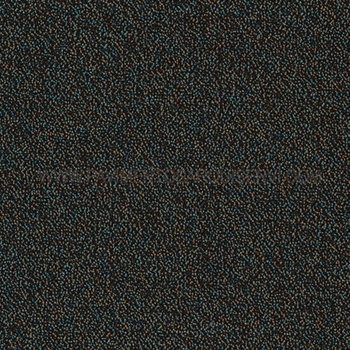 Cover 8_55 Cover 8_55