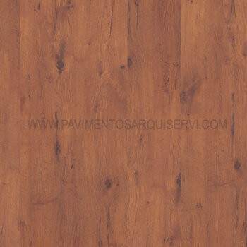 Ancient Oak 208 Ancient Oak 208