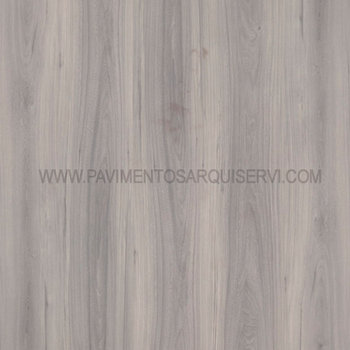 Argent Elm 301 Argent Elm 301