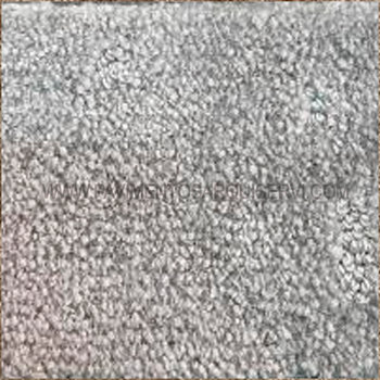 Obdulia 91 Obdulia 91