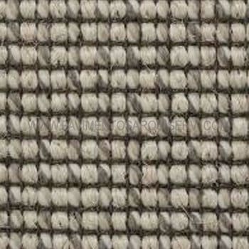 Tequila 411 Tequila 411