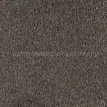 Moquetas 100%Triexta smartstrand forever clean Leather 410