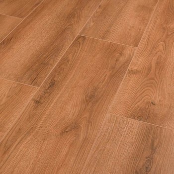 Roble Summer -Advanced+ Roble Summer -Advanced+