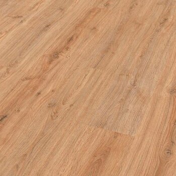 Roble Nova 6413 Roble Nova 6413