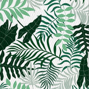 Monteverde Monteverde