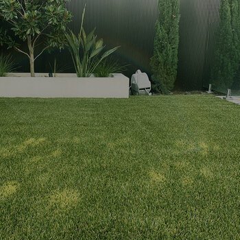 Césped artificial Césped Rua 30mm