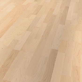 Madera Natural Parquet Arce canadiense