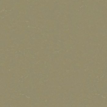 Vinílicos Linóleo Suelo Linóleo Lichen