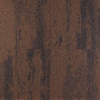 Expression 3233 Expression 3233