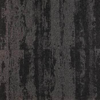 Expression 5550 Expression 5550