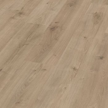 Roble Vera Siglo Roble Vera Siglo