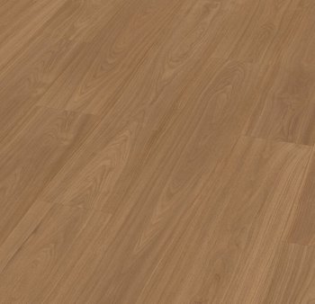 Nogal Minueto Nogal Minueto