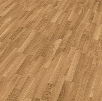 Roble Otoño Roble Otoño