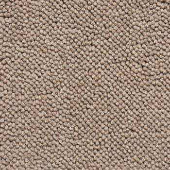 Lanatika 31 Camel Lanatika 31 Camel