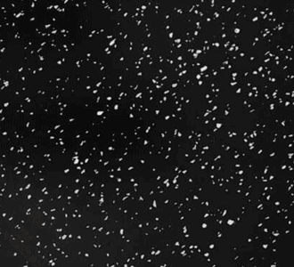 Caucho Macizo LOSETA DE CAUCHO 1x1m Puzle autoencajable. | 5mm | DENSIDAD PLUS | Negro motas blancas