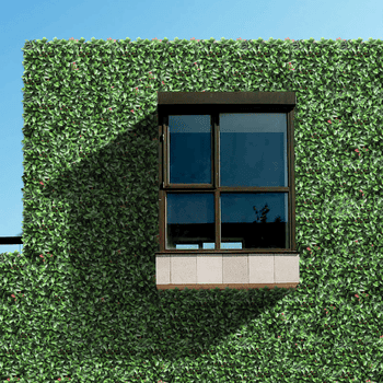 Revestimiento Pared Photinia vertical