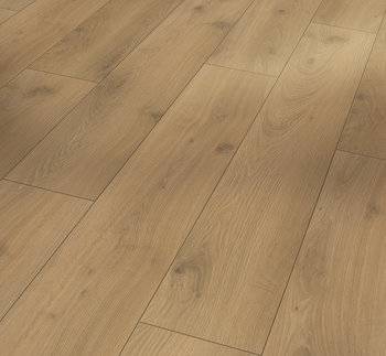 Tradición Natural Tradición Natural