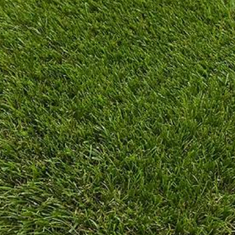 Césped Colibri 50mm Césped Colibri 50mm