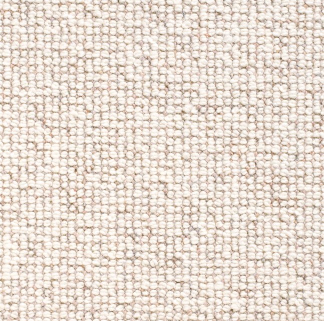 Pasea por el Bosque 720 Pasea por el Bosque 720