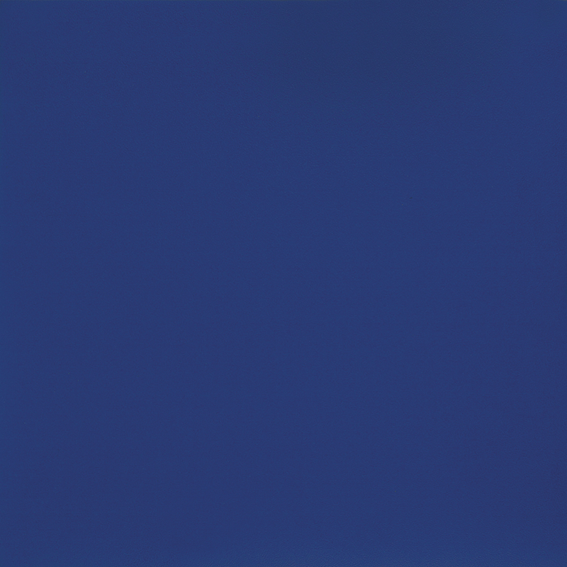 Vinílicos Suelo Vinílico Gimnasio Azul Oscuro Suprema