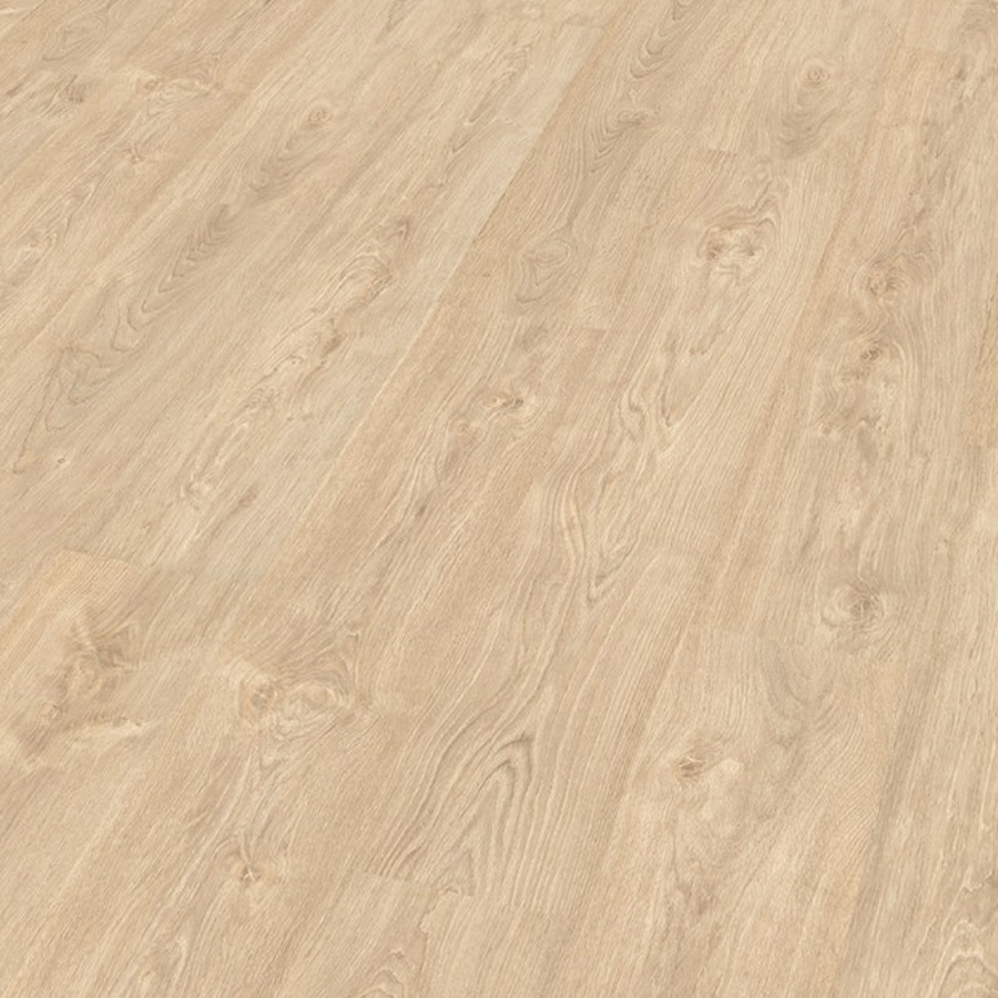 Roble Namibe Roble Namibe