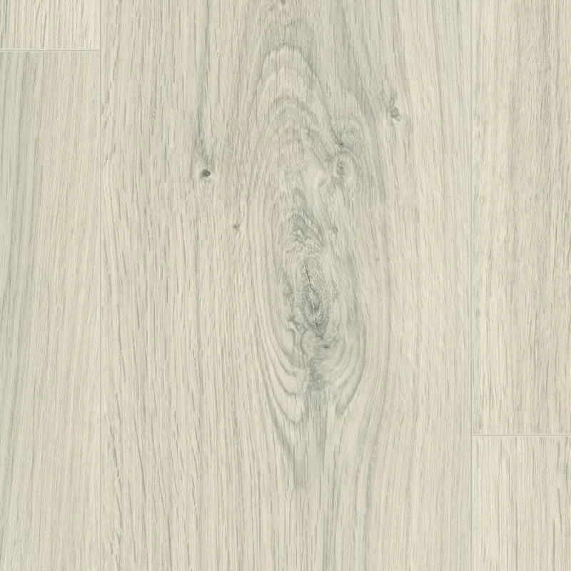 Roble Pinot Blanco Allround 8 Roble Pinot Blanco Allround 8