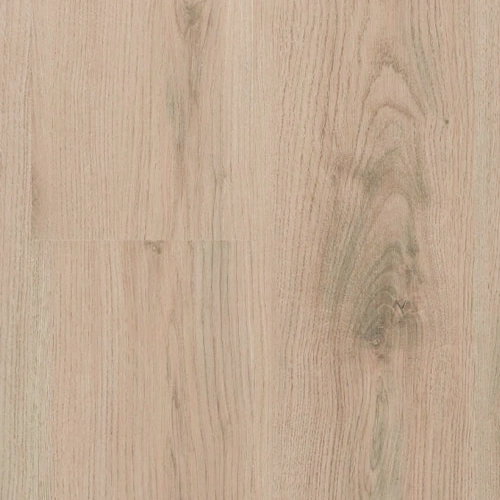 Tarimas Laminada Suelos Laminados AC5 8mm Sin Bisel Roble Drago