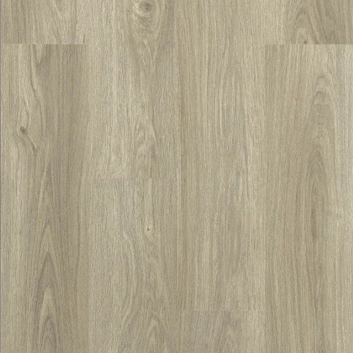 Tarimas Laminada Suelo Tarima Laminada AC5 8mm Roble Tico