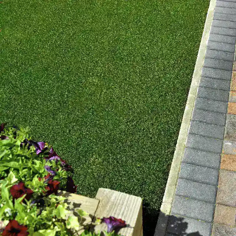 Césped Coral 24mm Césped Coral 24mm