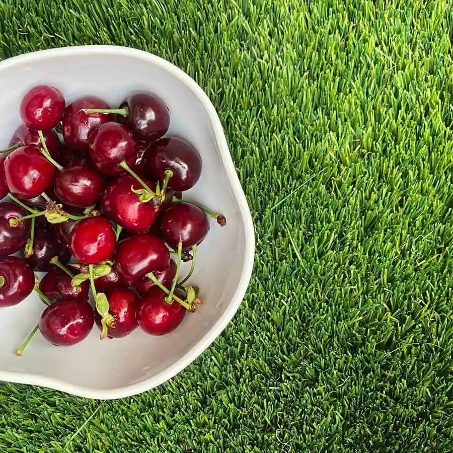 Césped artificial Césped Atlas 30mm