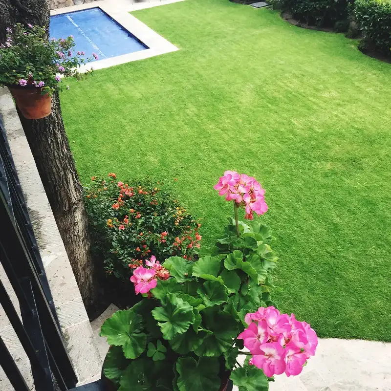 Césped artificial Césped Vesta 24 mm