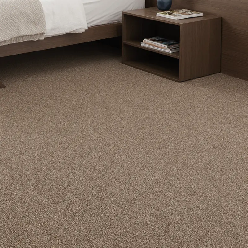 Gata Ante 331 Gata Ante 331