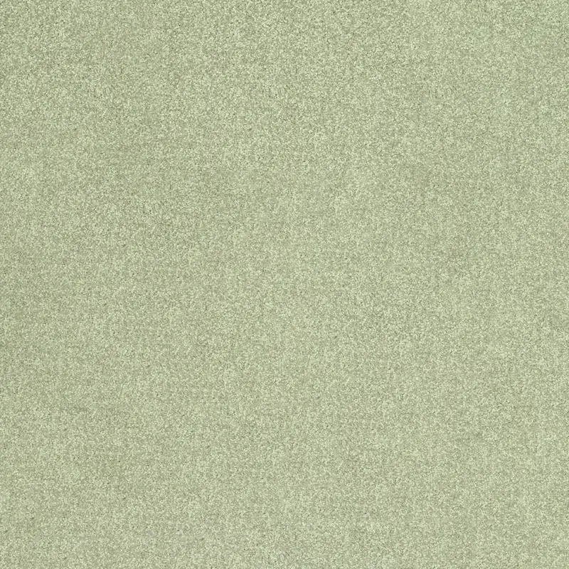 Moquetas Poliamida Ecos de la Musa Verde Claro 219