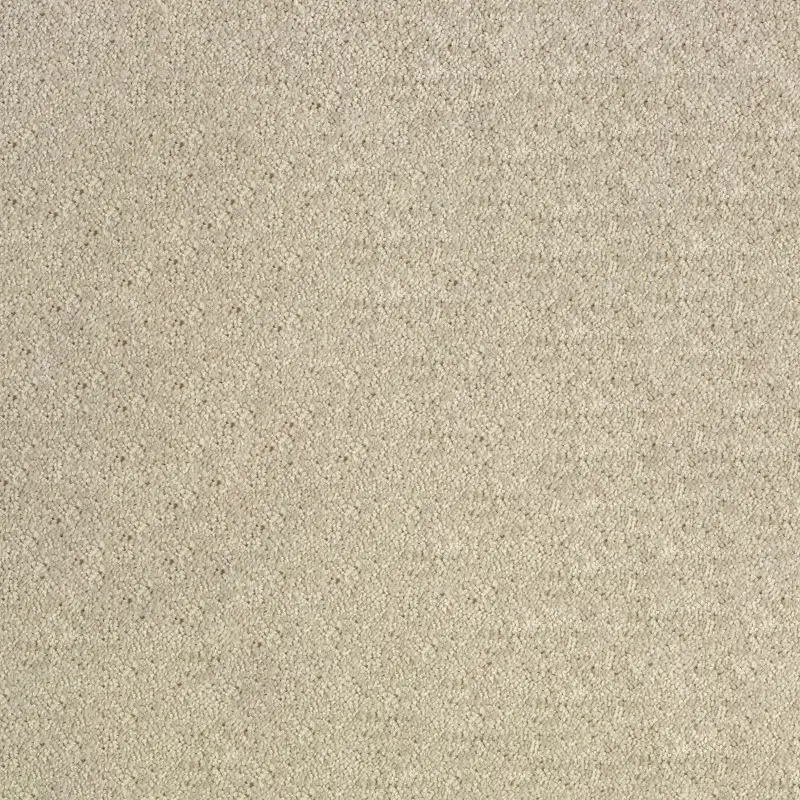 Moquetas Polyester PET Aurora Beige 154