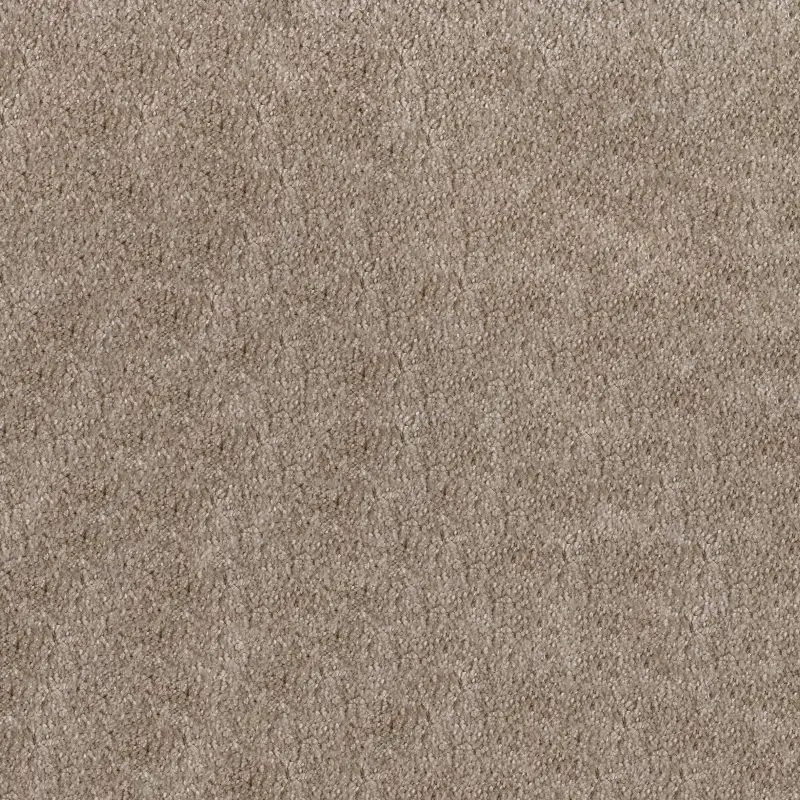 Moquetas Polyester PET Aurora Taupe 329