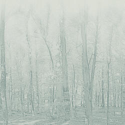 Vinílicos Suelo Vinílico Bosque Verde