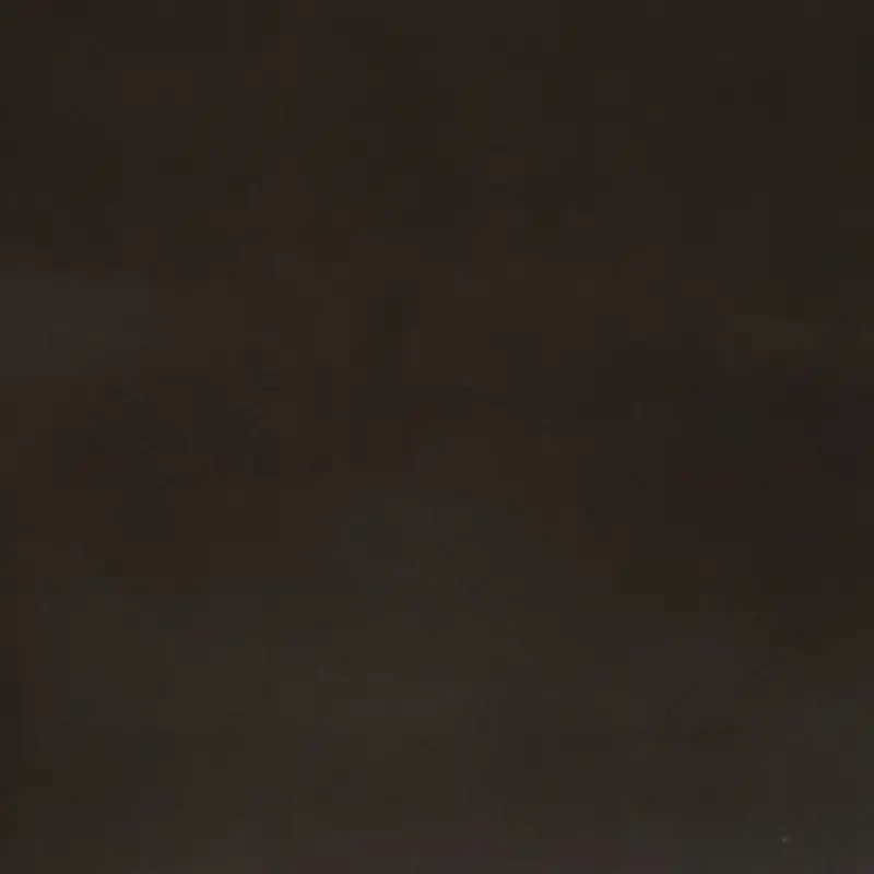 Moquetas Poliamida Pinta 2021