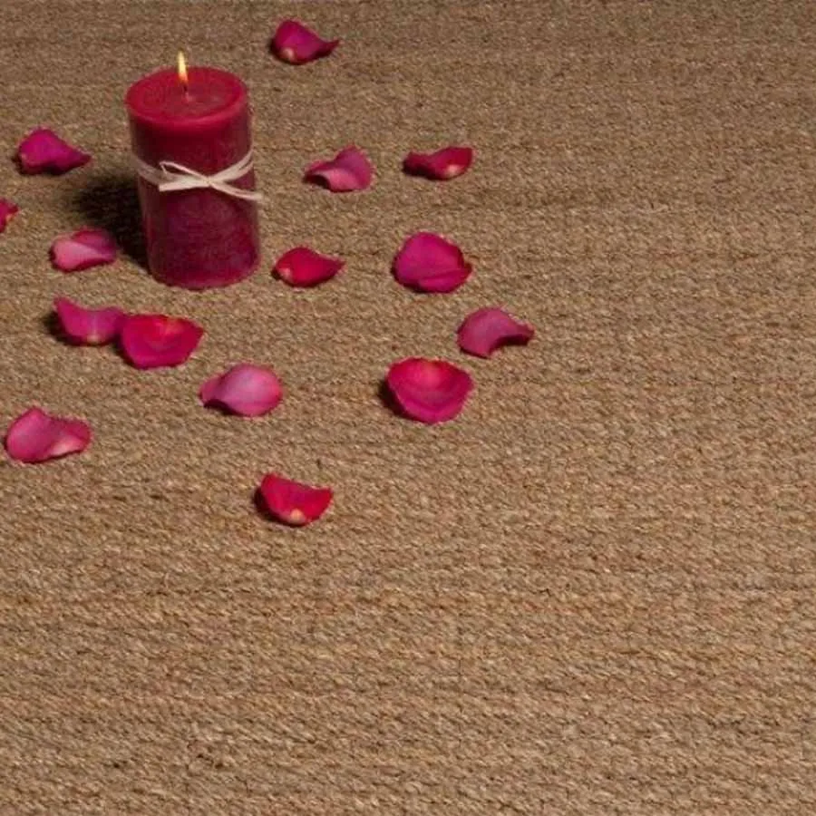 Algas Marinas Algas Marinas