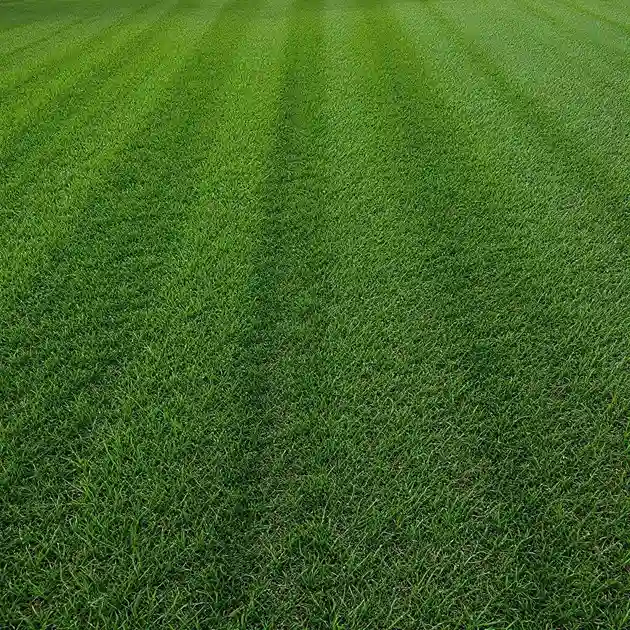 Césped artificial Césped Vesta 24 mm