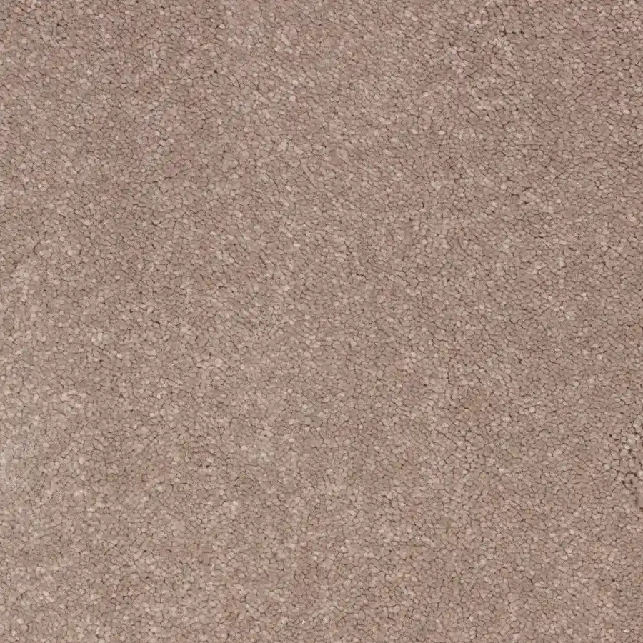 Escocia Visón 329 Escocia Visón 329