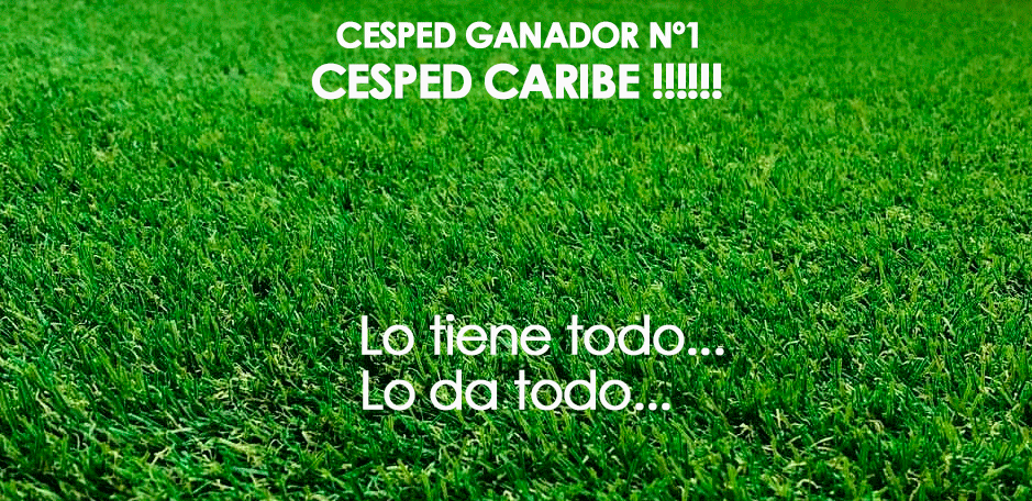 Disfruta de nuestro Césped Artificial Caribe- Nuestro Césped Ganador Césped Artificial Caribe