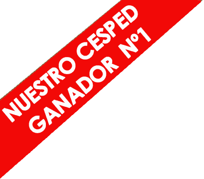 Nuestro Césped Ganador 🏆